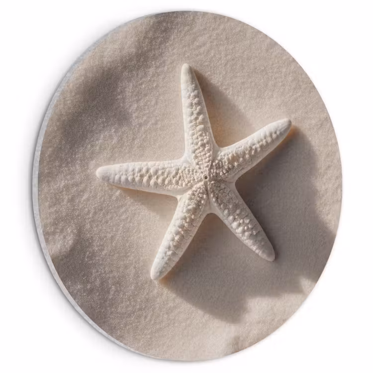 Akoestisch schilderij rond - Strand - Zeester - Zand - Beige — 1