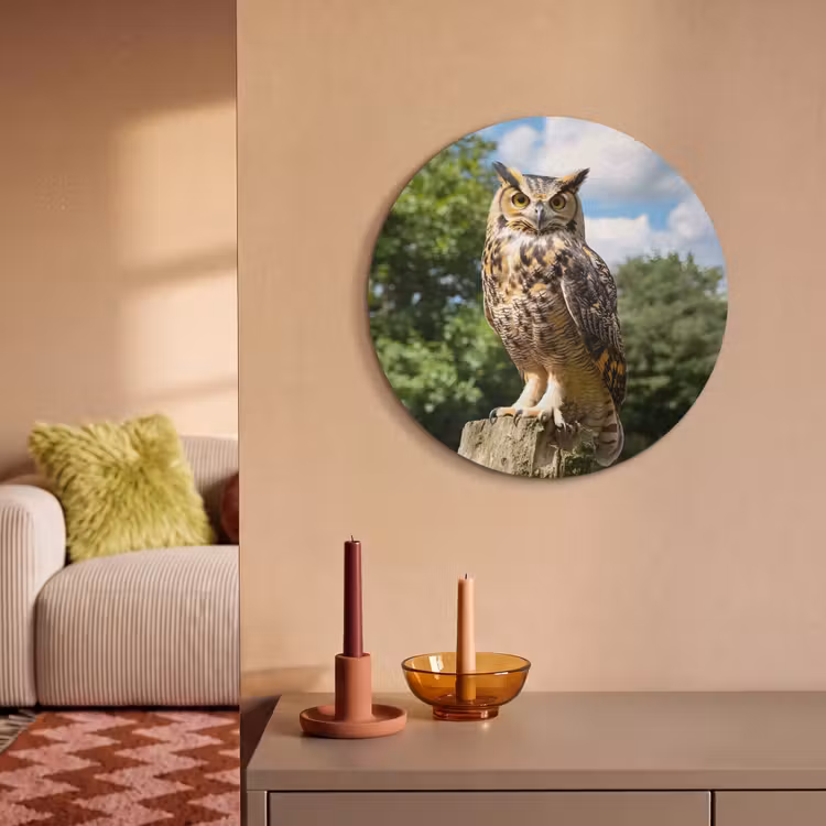 Akoestisch schilderij rond - Uil - Boomstronk - Bos - Lucht — 3