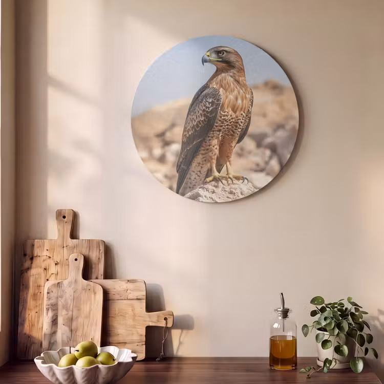 Akoestisch schilderij rond - Valk - Vogel - Rots - Macht — 4