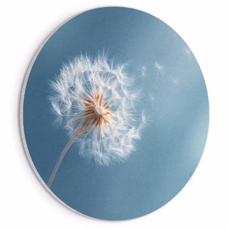Akoestisch schilderij rond - Paardenbloem - Wind - Blauw — 1