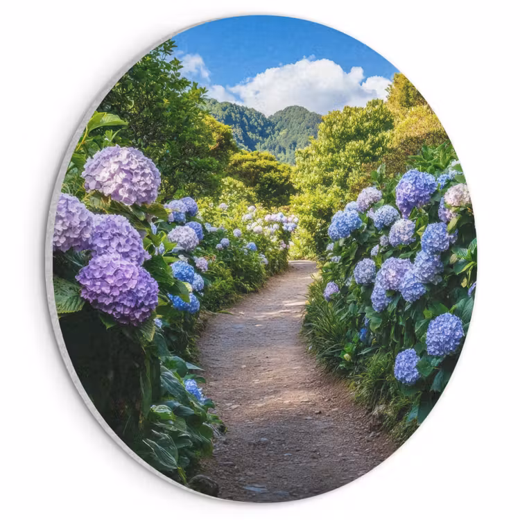 Akoestisch schilderij rond - Hortsensia - Pad - Bloemen — 1