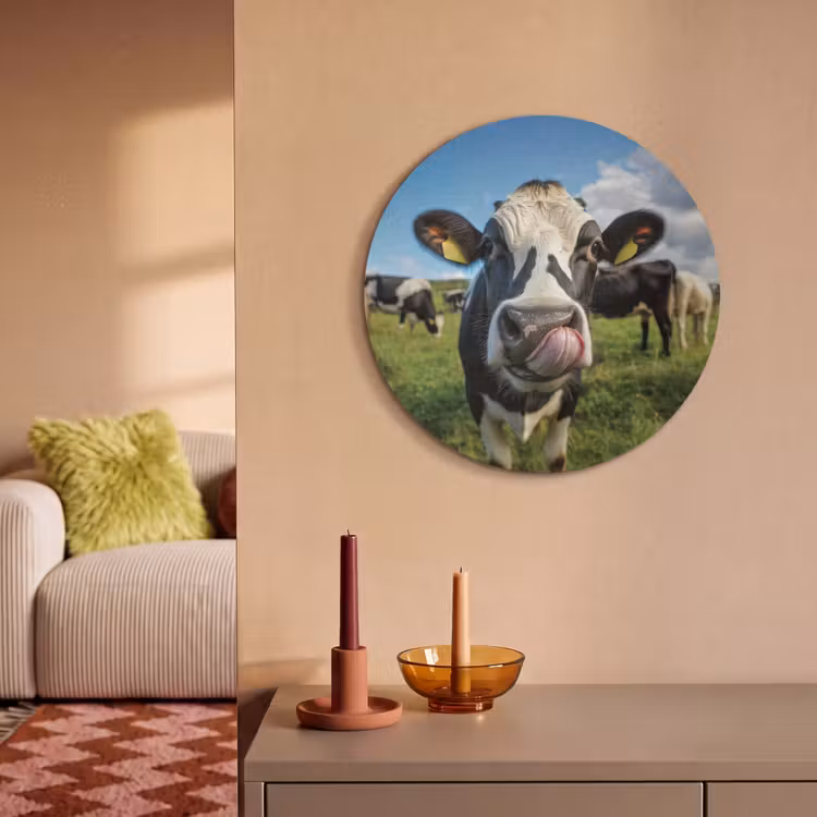 Akoestisch schilderij rond - Koe - Tong - Weide — 3