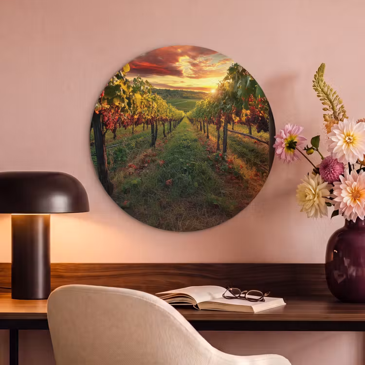 Akoestisch schilderij rond - Wijngaard - Druiven - Zonsondergang — 2
