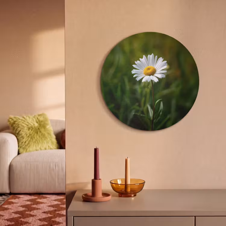 Akoestisch schilderij rond - Wit - Madeliefje - Bloem - Gras — 3