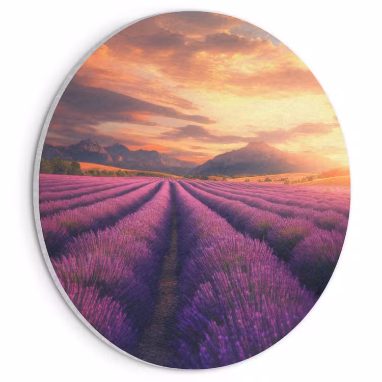 Akoestisch schilderij rond - Lavendelveld - Zonsondergang - Paars — 1