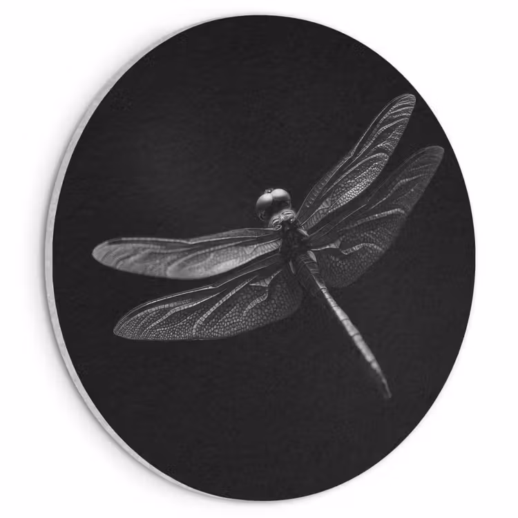 Akoestisch schilderij rond - Libelle - Dieren - Zwart - Insect — 1