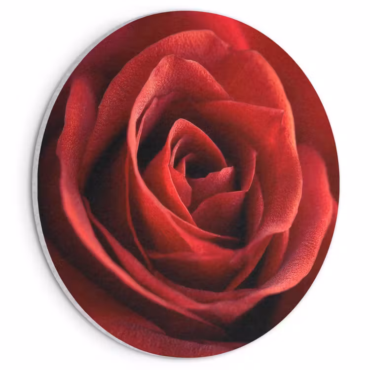 Akoestisch schilderij rond - Rood - Roos - Romantisch — 1