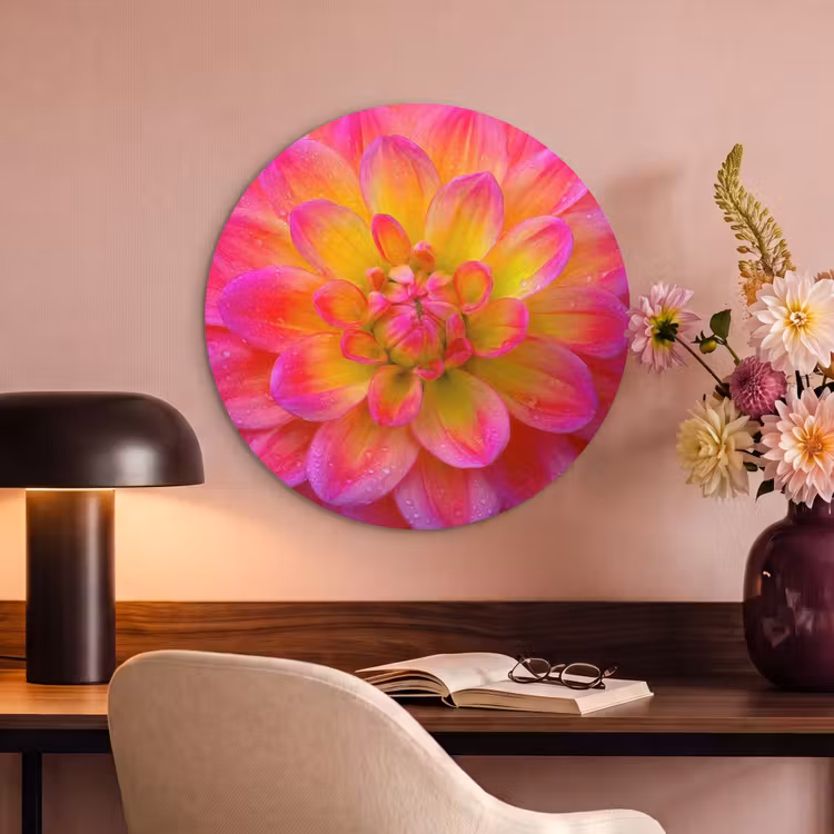 Akoestisch schilderij rond - Roze - Dahlia - Kleurrijk — 2