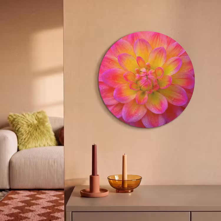 Akoestisch schilderij rond - Roze - Dahlia - Kleurrijk — 3