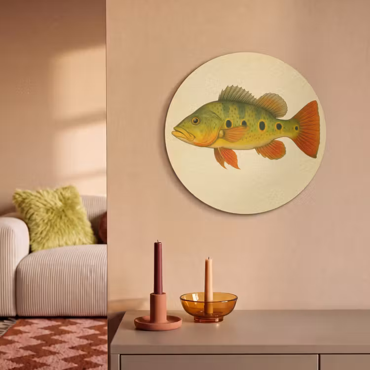 Akoestisch schilderij rond - Schubben - Vis - Groen - Illustratie — 3