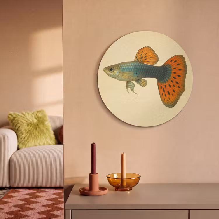 Akoestisch schilderij rond - Vis - illustratie - Stippen - Oranje — 3
