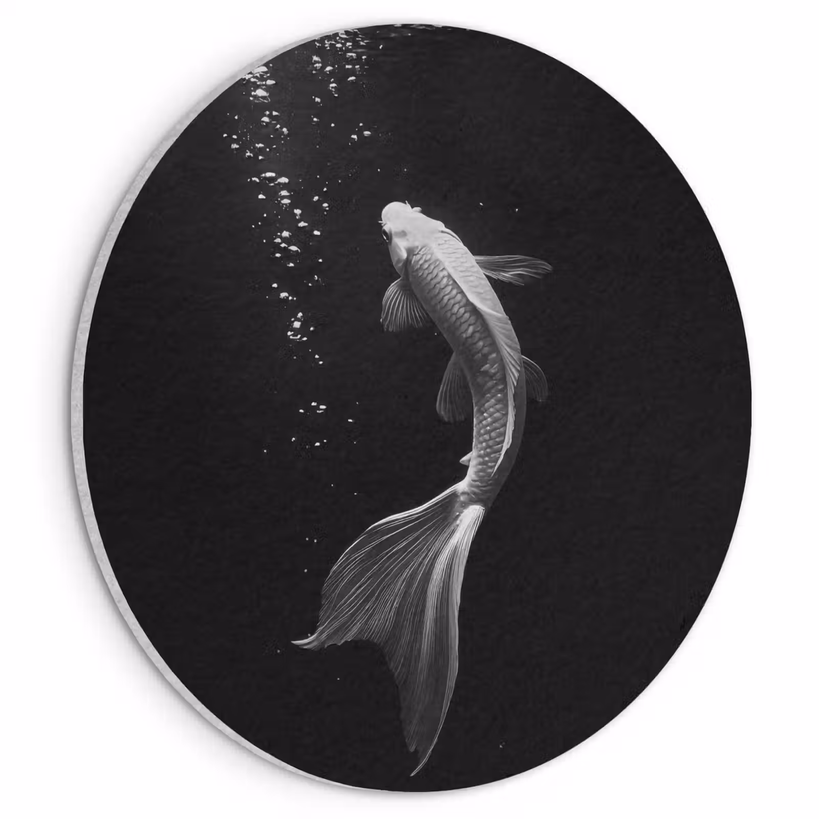 Akoestisch schilderij rond - Koi - Vis - Wit - Zwart — 1