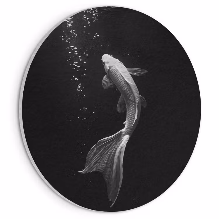 Akoestisch schilderij rond - Koi - Vis - Wit - Zwart — 1