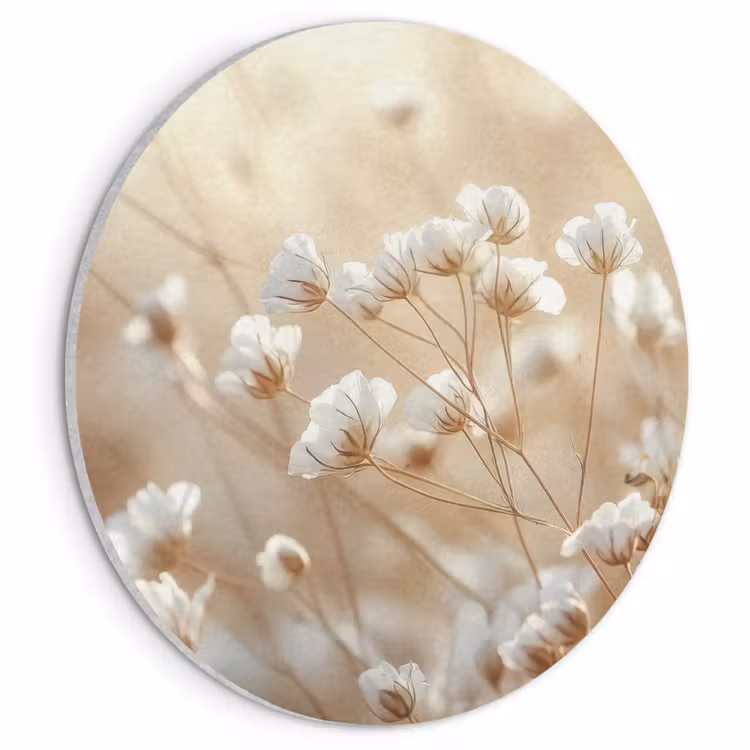 Akoestisch schilderij rond - Wilde - Bloemen - Wit — 1