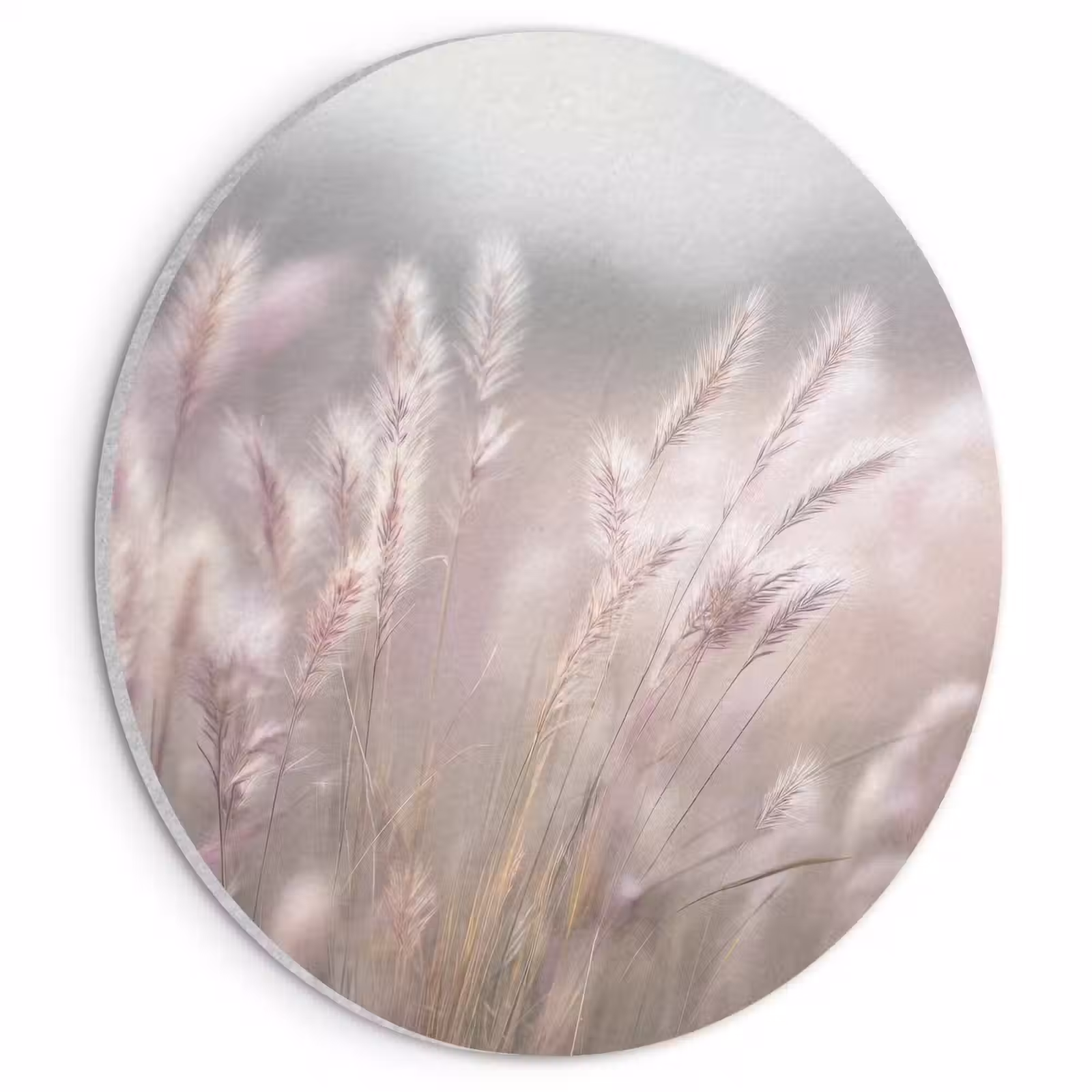 Akoestisch schilderij rond - Graspluimen - Wind - Beige - Mistig — 1