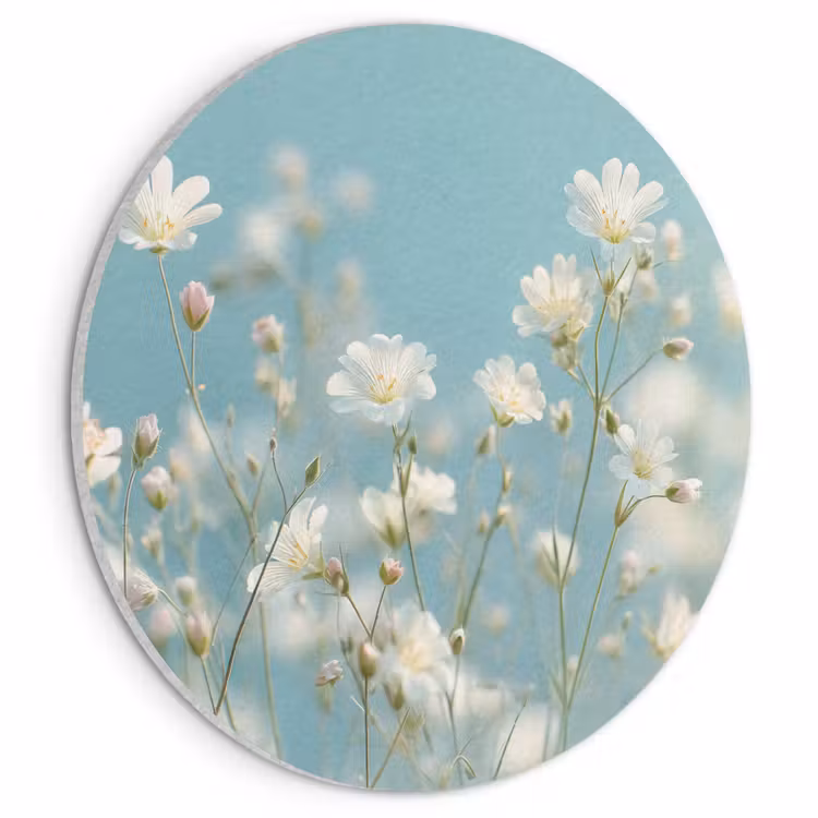 Akoestisch schilderij rond - Stengels - Bloemen - Lucht - Wit — 1