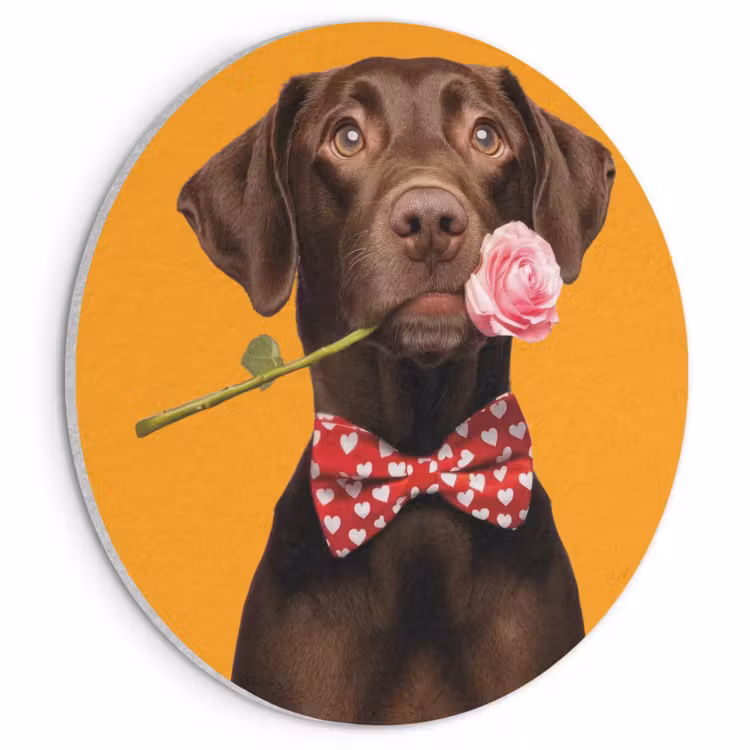 Akoestisch schilderij rond - Hond - Oranje - Roos - Valentijn — 1