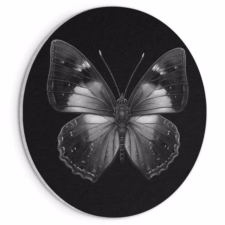 Akoestisch schilderij rond - Vlinder - Grijs - Mysterieus — 1