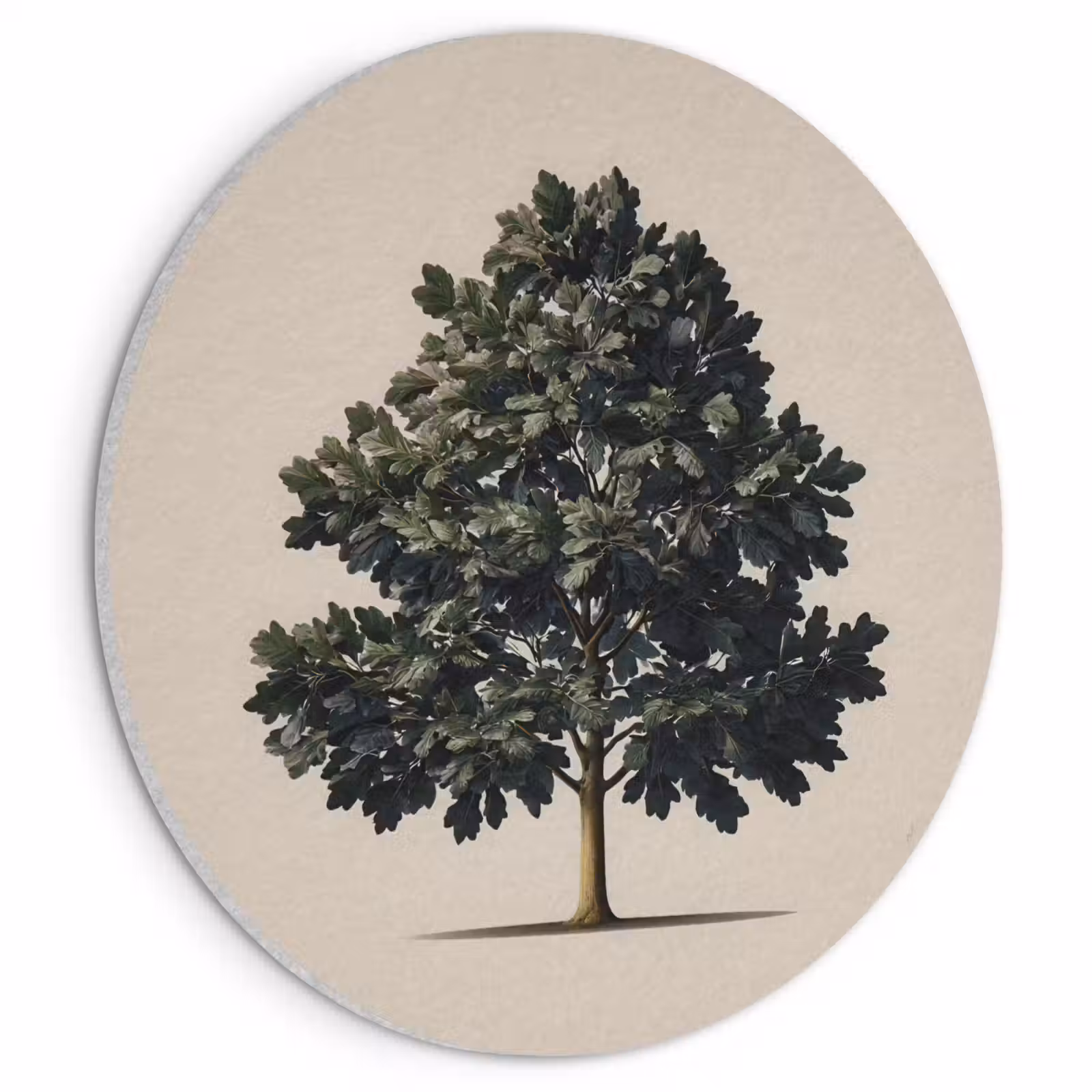Akoestisch schilderij rond - Eikenboom - Schaduw - Egaal — 1