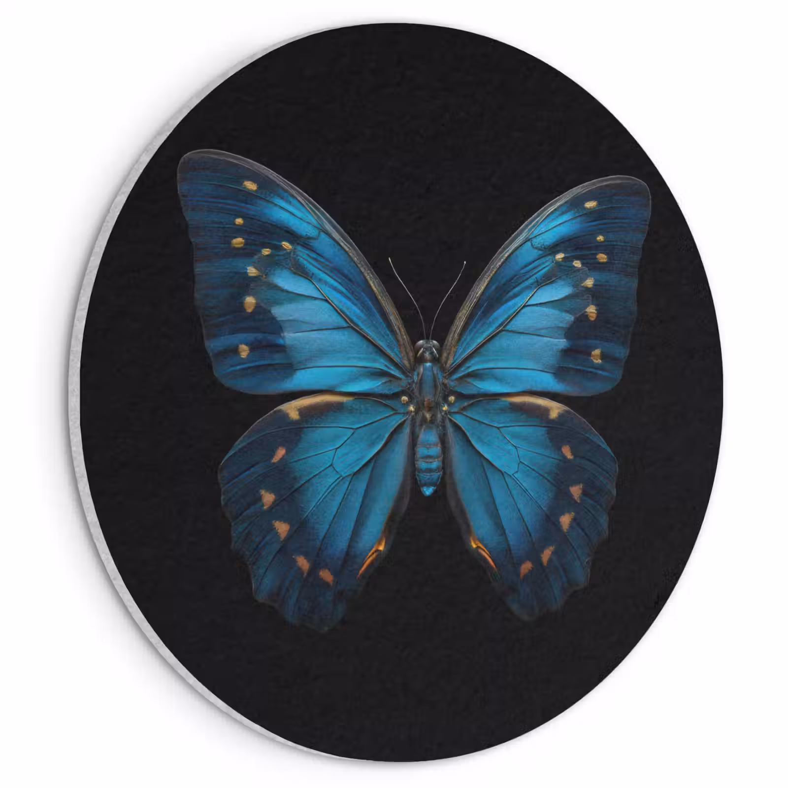 Akoestisch schilderij rond - Vlinder - Blauw - Contrast — 1