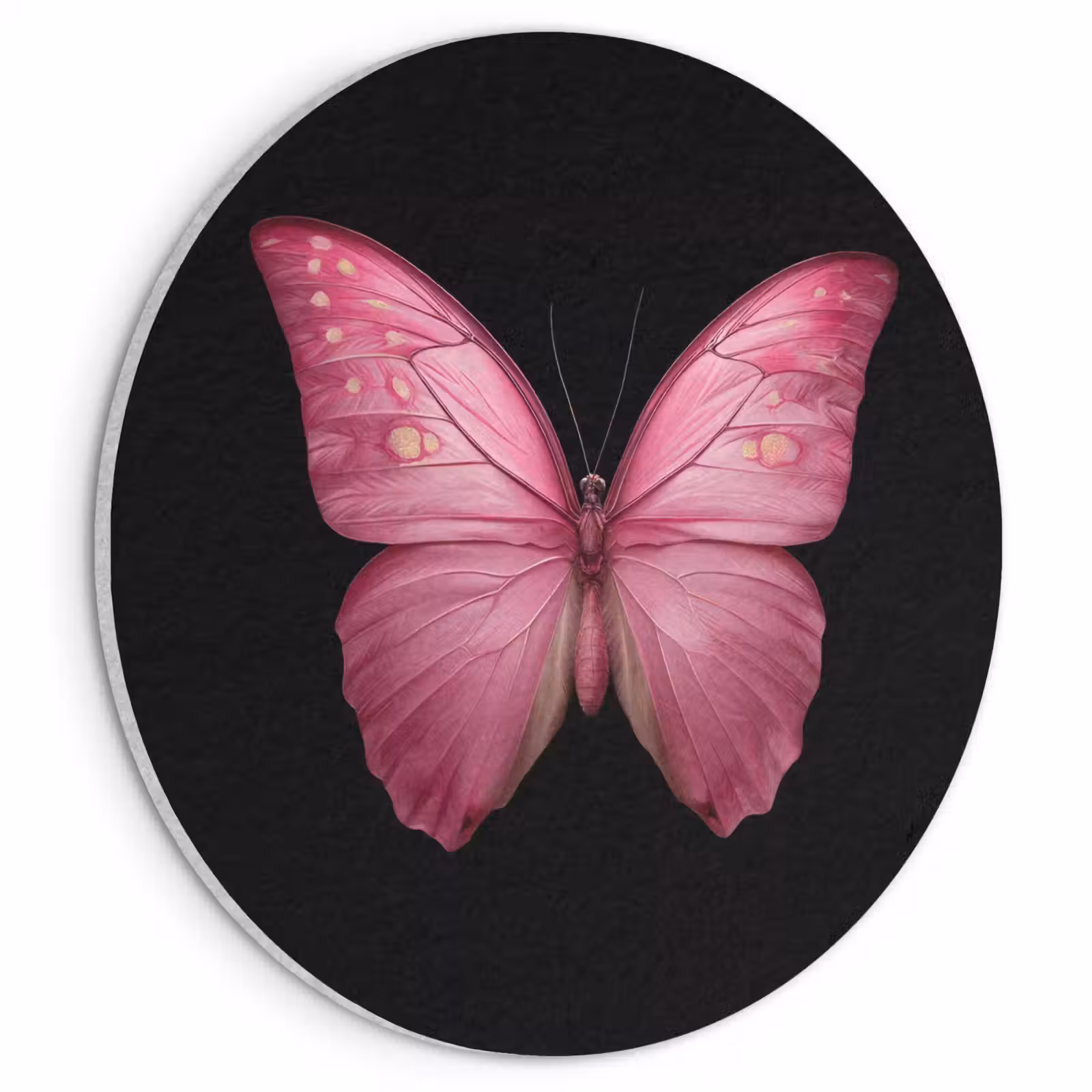 Akoestisch schilderij rond - Vlinder - roze - Elegant — 1