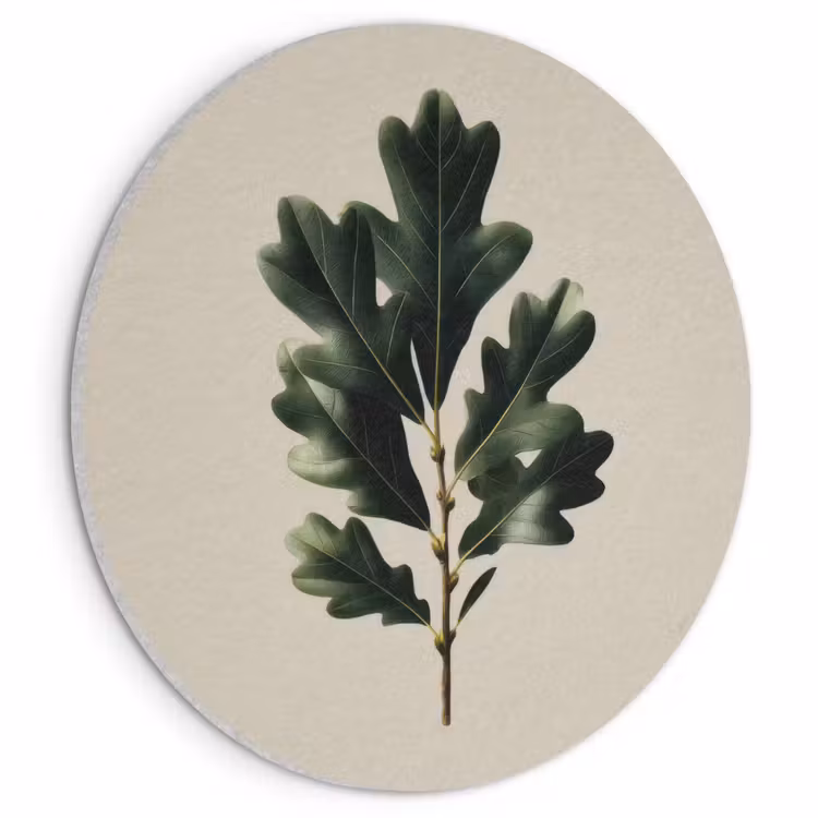 Akoestisch schilderij rond - Eikenbladeren - Beige - Groen - Golvende randen — 1