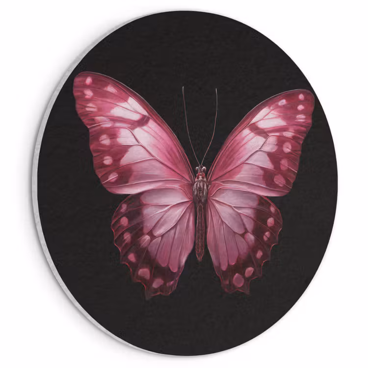 Akoestisch schilderij rond - Vlinder - Fuchsia - Grafisch — 1