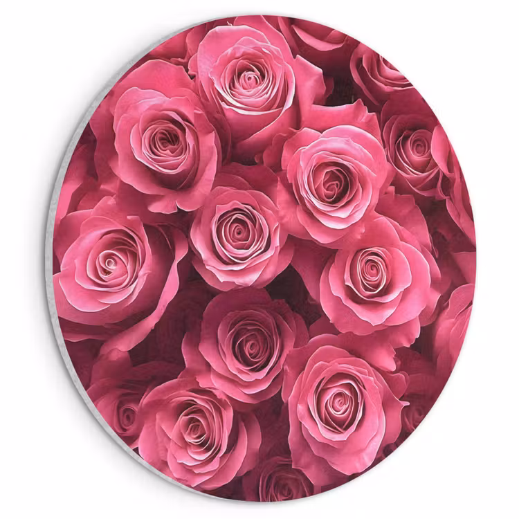 Akoestisch schilderij rond - Rozen - Pink - Bloem — 1