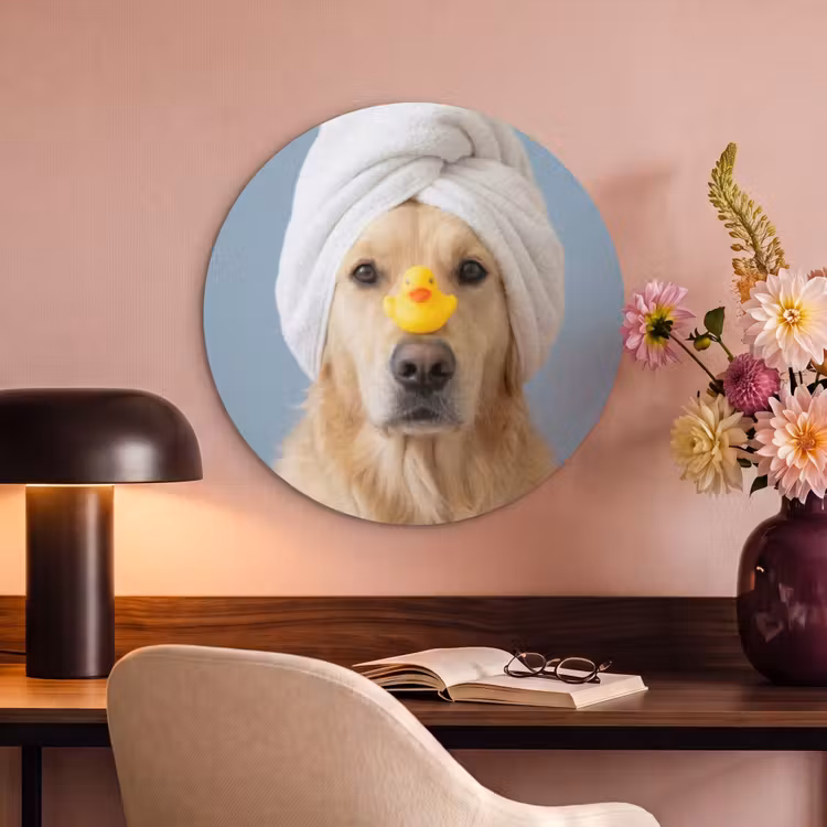 Akoestisch schilderij rond - Hond - Badeend - Geel — 2