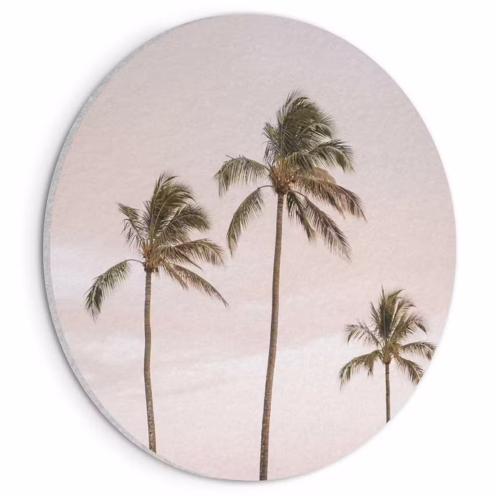 Akoestisch schilderij rond - Palmbomen - Zonsondergang - Roze — 1