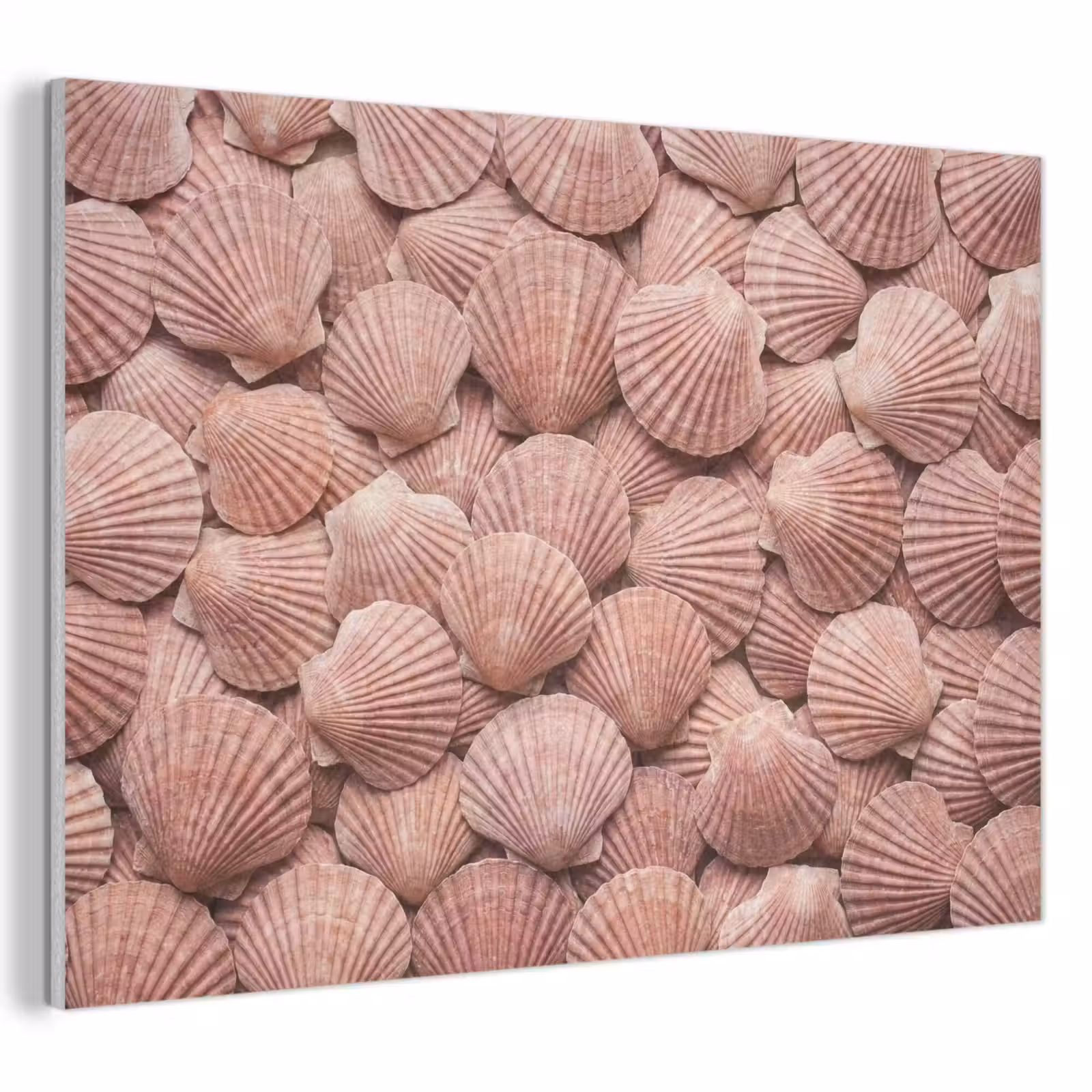 Akoestisch schilderij - Schelpen - Patroon - Roze — 1