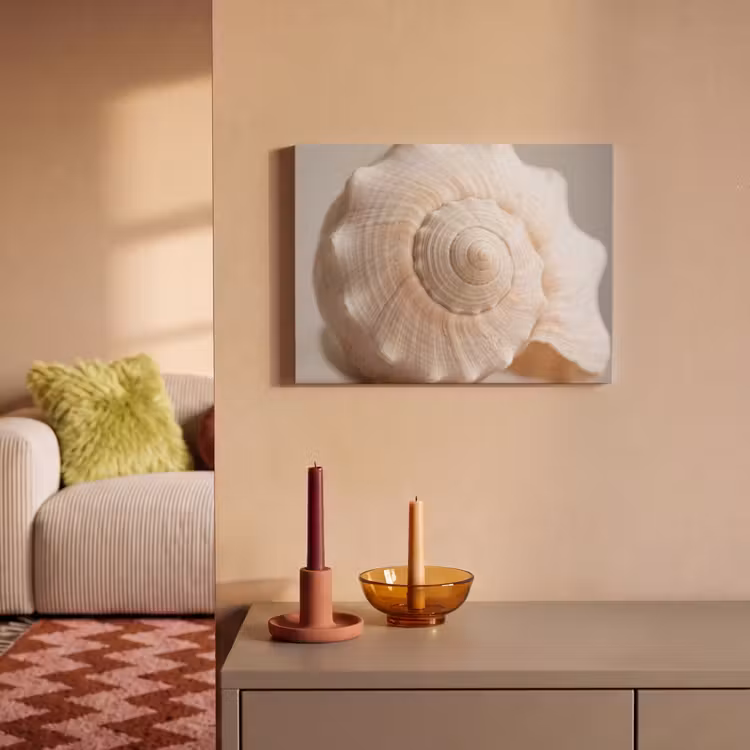 Akoestisch schilderij - Schelp - Detail - Beige — 2