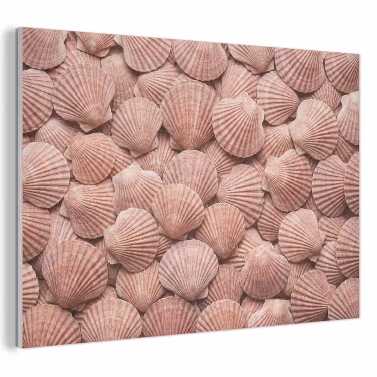 Akoestisch schilderij - Schelpen - Patroon - Roze — 1