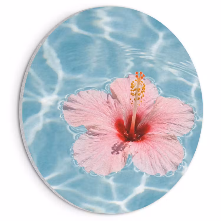Akoestisch schilderij rond - Hibiscus - Water - Roze — 1