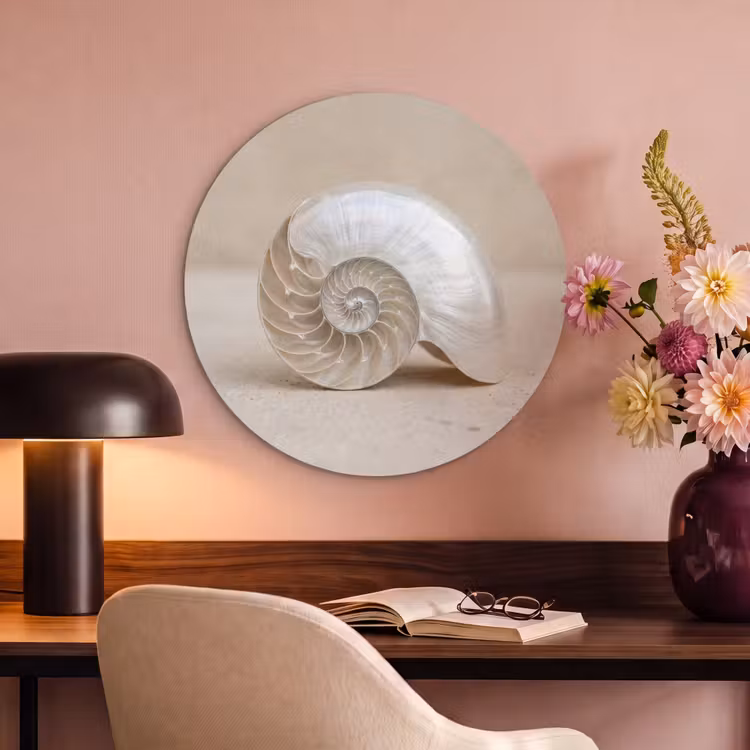 Akoestisch schilderij rond - Schelp - Spiraal - Beige — 2