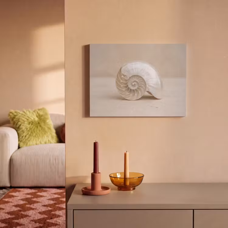 Akoestisch schilderij - Schelp - Spiraal - Beige — 2