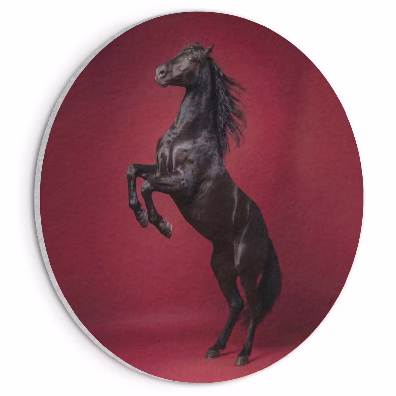 Akoestisch schilderij rond - Hengst - Steigert - Rood — 1