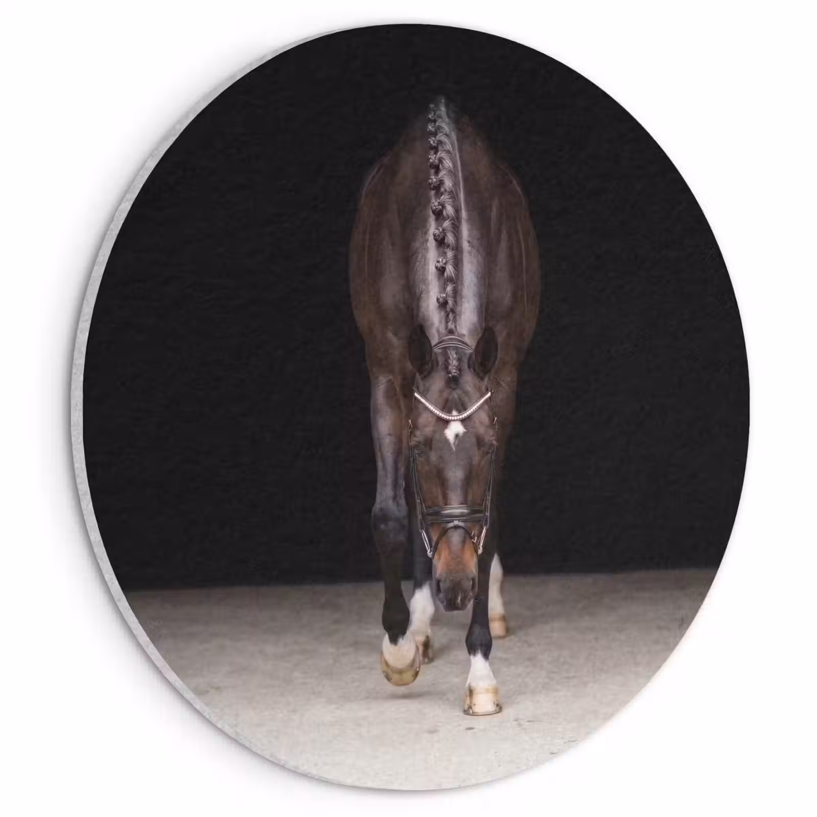 Akoestisch schilderij rond - Paard - Modern - Portret — 1