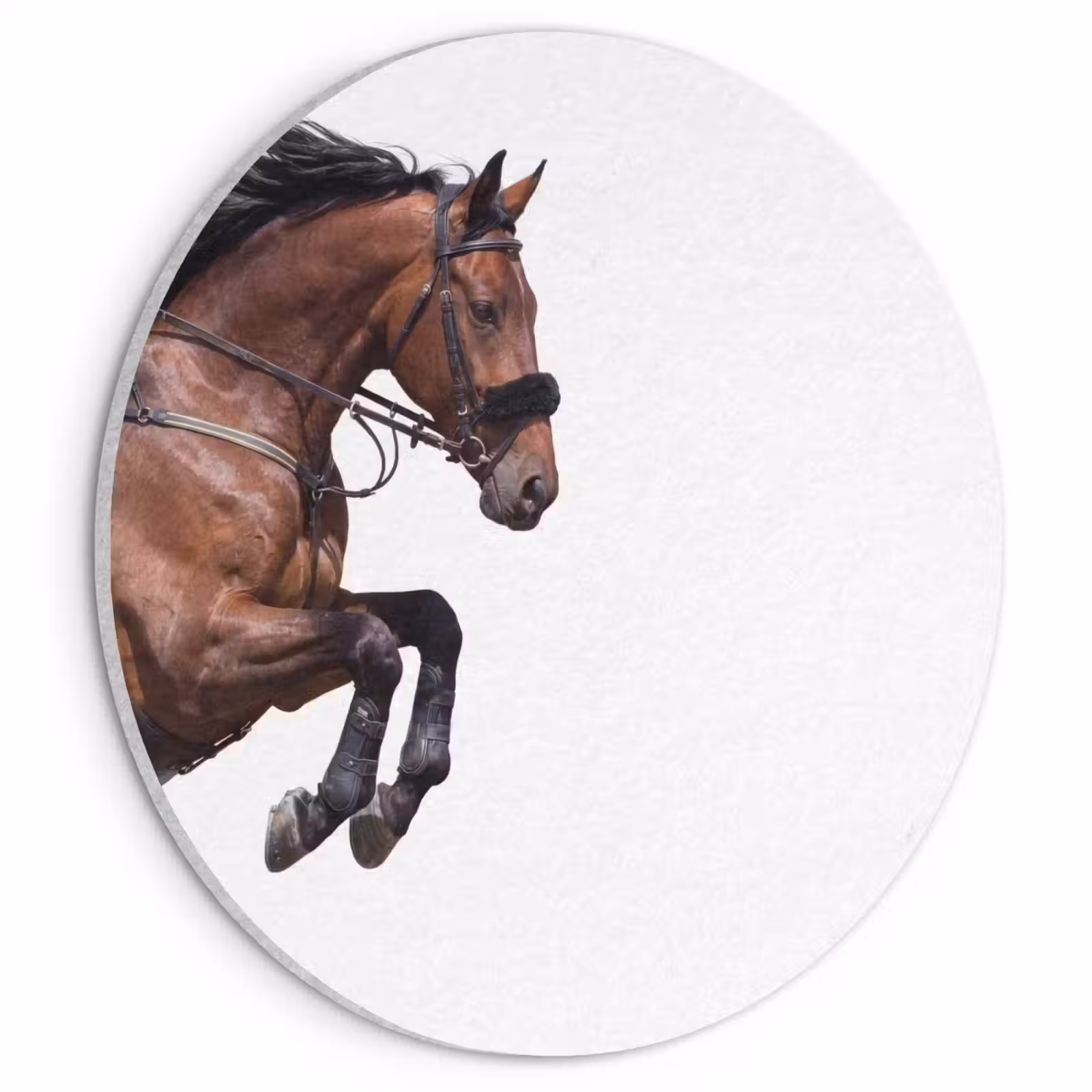 Akoestisch schilderij rond - Paard - Springen - Modern — 1