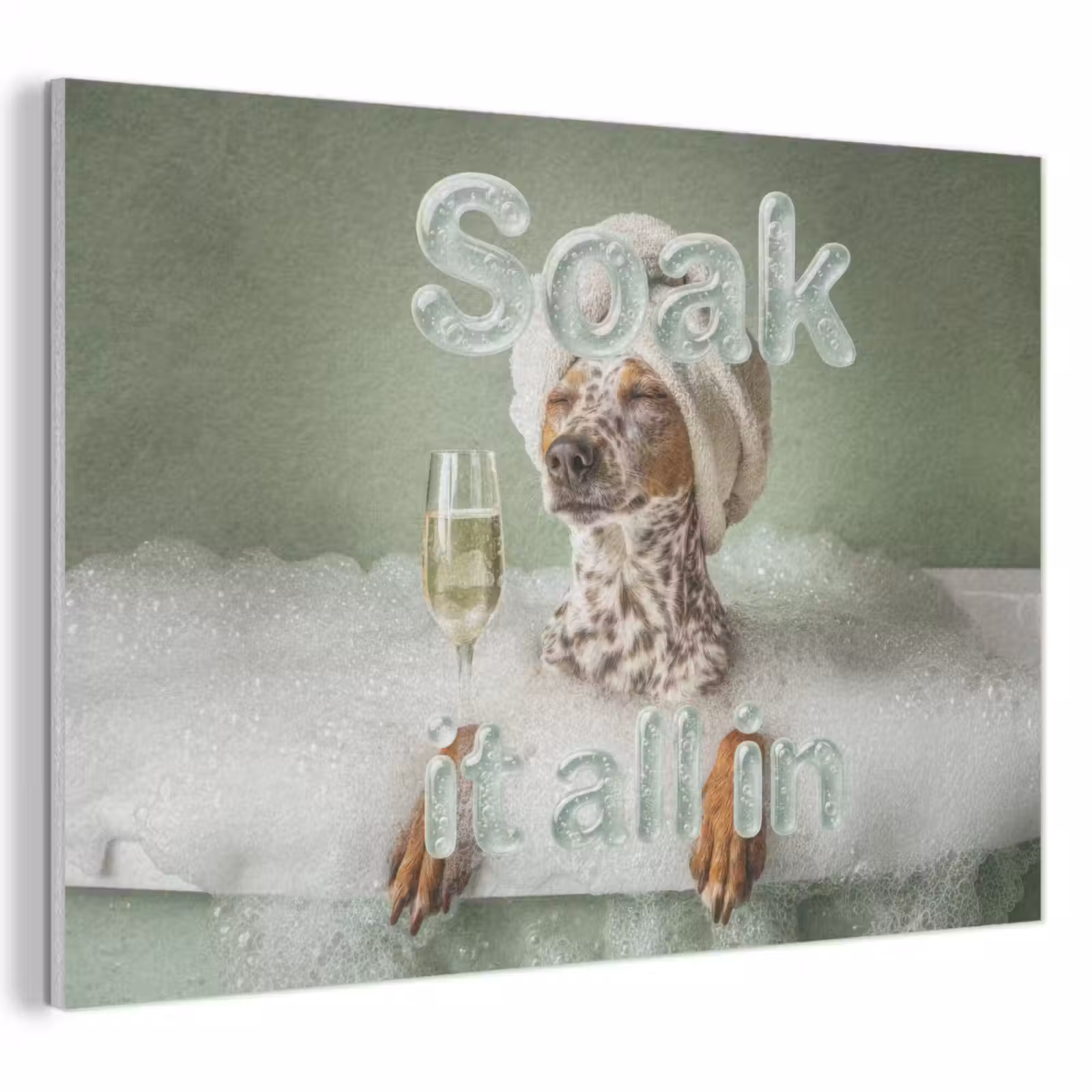 Akoestisch schilderij - Soak it all in - Hond - Bad — 1