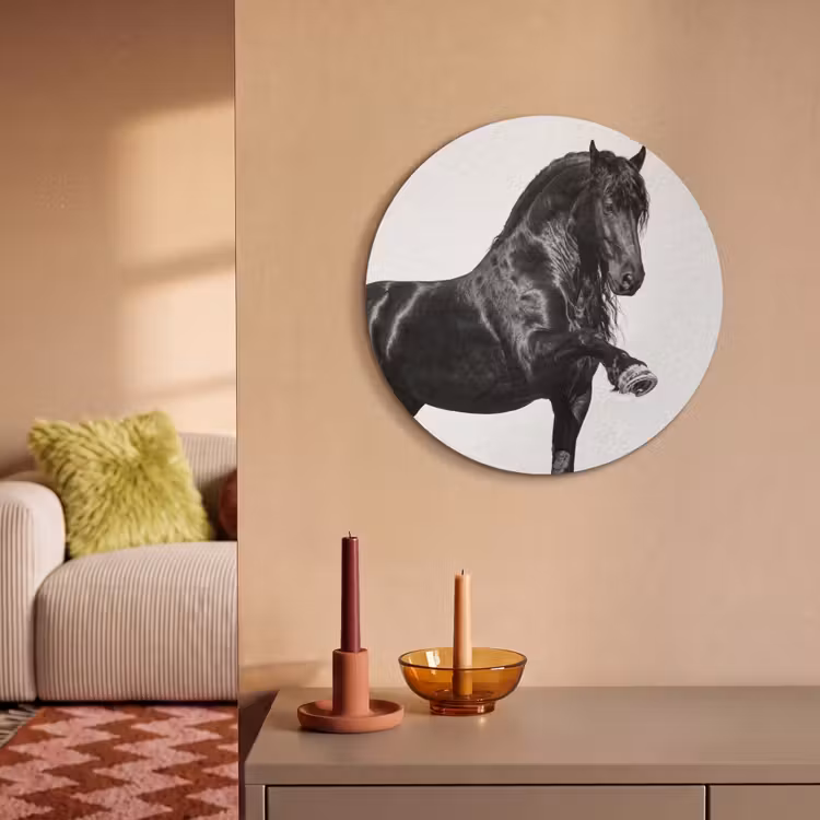 Akoestisch schilderij rond - Fries - Hengst - Modern — 3