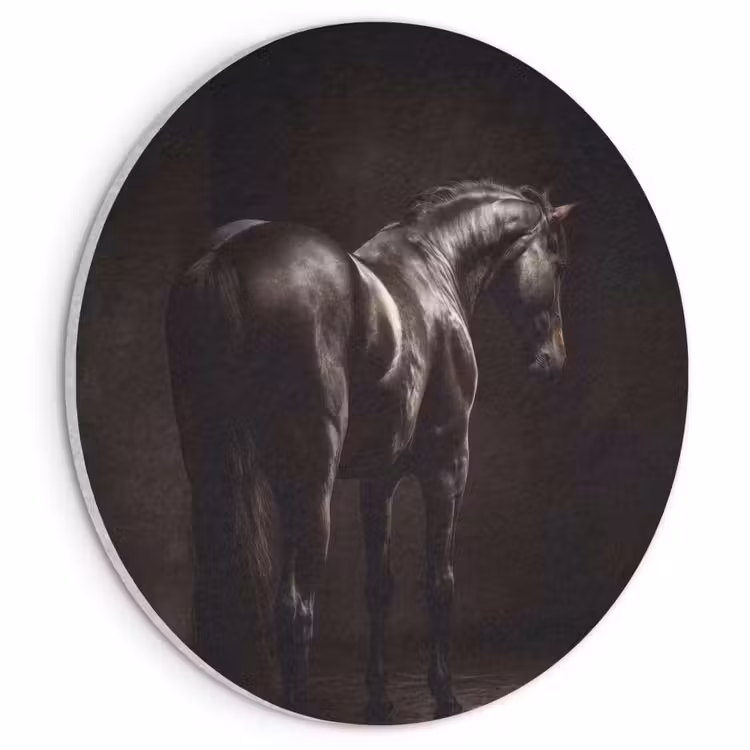 Akoestisch schilderij rond - Krachtig - Paard - Donker — 1