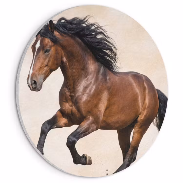 Akoestisch schilderij rond - Paard - Galop - Energie — 1