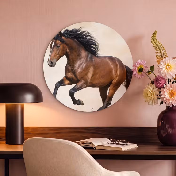 Akoestisch schilderij rond - Paard - Galop - Energie — 2