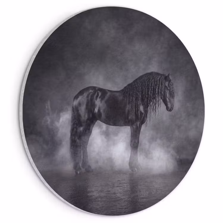 Akoestisch schilderij rond - Paard - Magisch - Zwart — 1