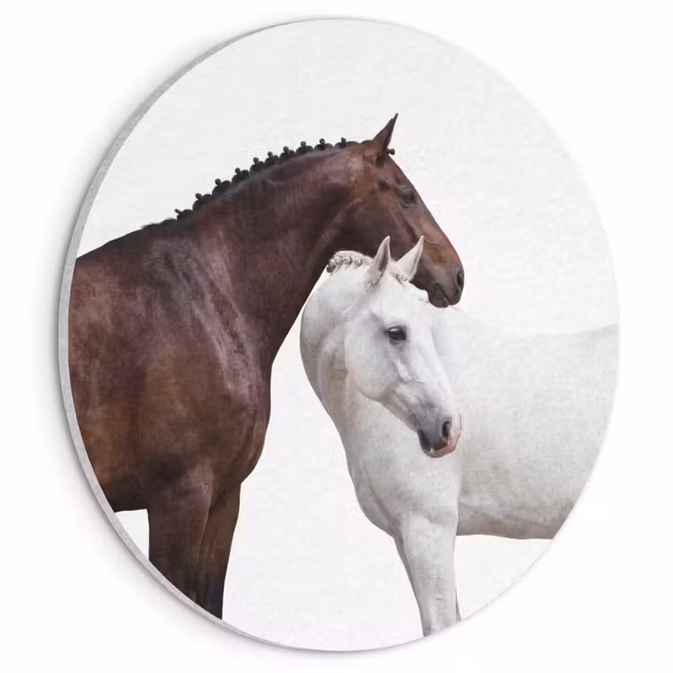 Akoestisch schilderij rond - Paard - Modern - Balans — 1