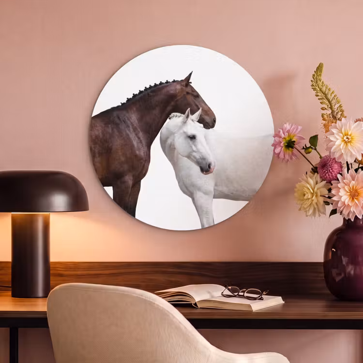 Akoestisch schilderij rond - Paard - Modern - Balans — 2
