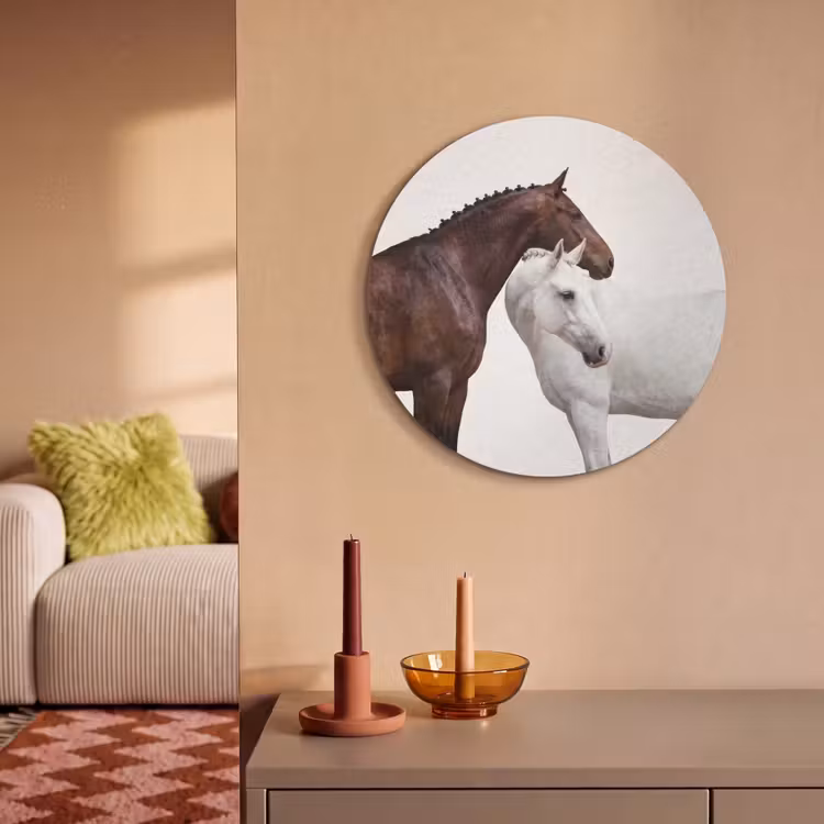 Akoestisch schilderij rond - Paard - Modern - Balans — 3