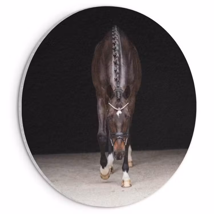 Akoestisch schilderij rond - Paard - Modern - Portret — 1