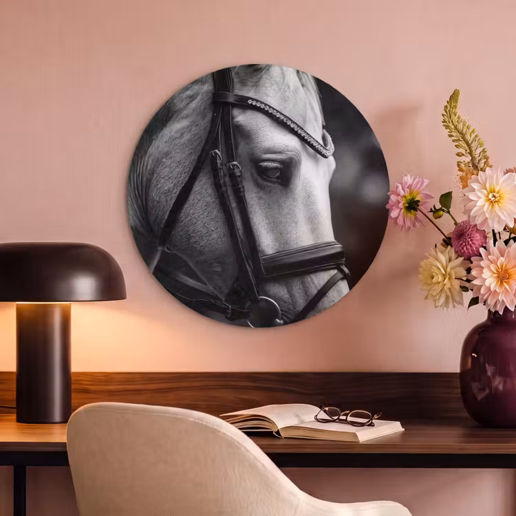 Akoestisch schilderij rond - Paard - Schimmel - Portret — 2